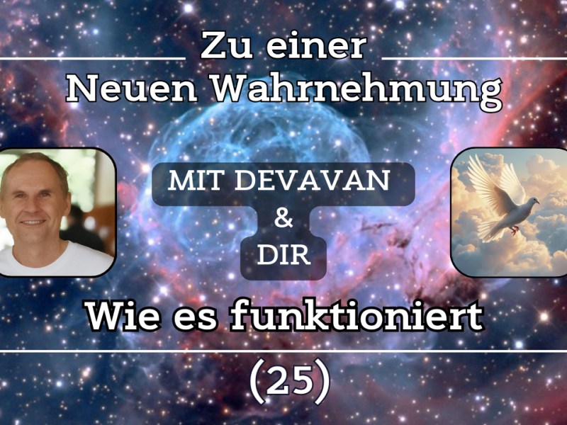 Wie es funktioniert ~ Zu einer Neuen Wahrnehmung –&nbsp;(25)