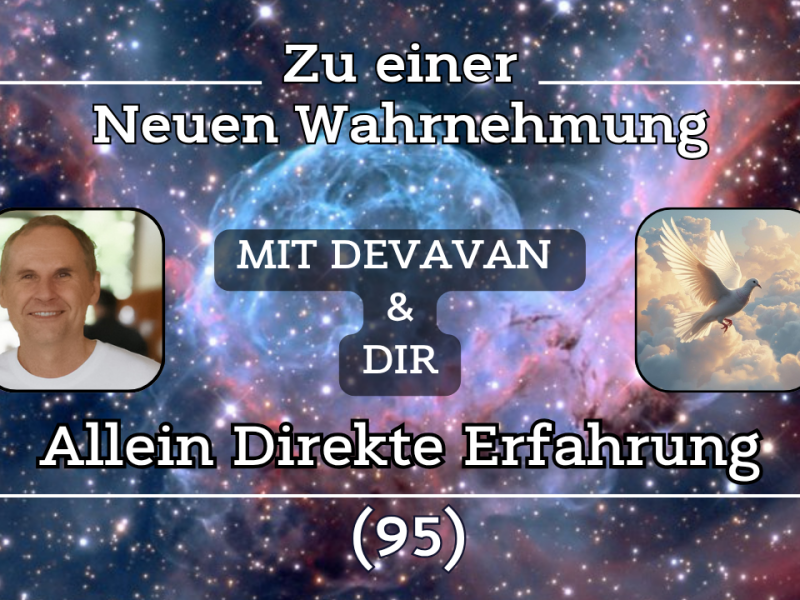 Allein Direkte Erfahrung ~ Zu einer Neuen Wahrnehmung –&nbsp;(95)